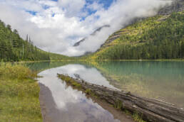 How to Hike Trail of the Cedars Avalanche Lake Glacier National Park